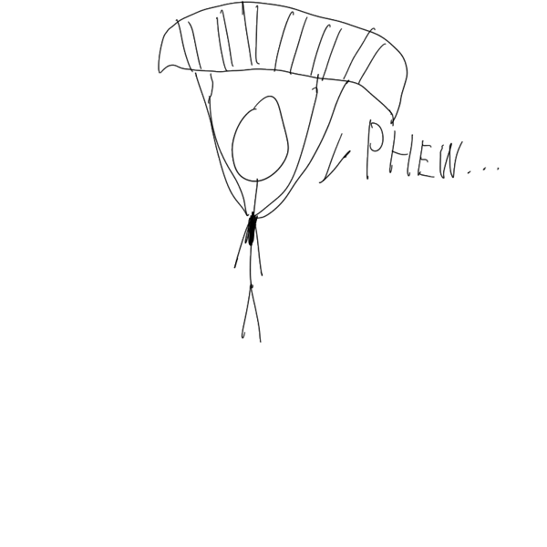 Unfortunate Landing panel 4